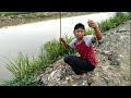 Mancing ikan lundu di kali @joran99