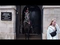 DISRESPECTFUL Tourists REFUSE TO RELEASE ignoring the signs and provoking the horse!!!