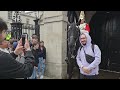 BRILLIANT OFFICER is Back while Disrespectful Tourists Invaded Horse's Personal Space!