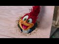 Picchiarello (Woody Woodpecker) - Sigla live action