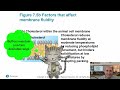 Chapter 7 – Membrane Structure and Function