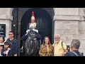 several time tourist's annoyed the kings guards #horseguardsparade