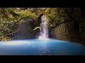 Relaxing Piano Music With Waterfall And Bird Chirping Sounds