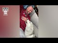 Hard To Say No To That Face😍Cute & Funny Husky Compilation 🤣