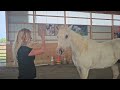 Episode 1: Jake (When Horses Choose USA Tour 2023)