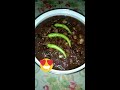 My CRISPY DINUGUAN WITH GATA ( native Filipino food)