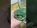 A chonky little slimer