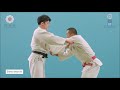 BRUTAL Daito Ryu Aikijujutsu arm breaking techniques and throws