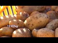 No dig Potato Gardening: Expert Tips from Charles Dowding