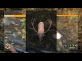 theHunter  Call of the Wild 1000 Perfect Diamond Roosevelt Elk