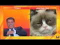 Try Not To LAUGH CATS Videos 😁 Funny Cat Memory 😹😍 #30