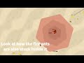 Shell and Sandstorm's NEW ULTRA ABILITIES! (florr.io)