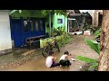 Heavy Rain and Thunder Hit Rural Areas in Indonesia | Rain in a crowded village in Majenang | ASMR
