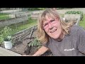 Growing Vegetables & Herbs-Week 7 Growing Guide