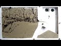 Sand ant farm - ants digging tunnels time lapse 4k #greentimelapse #gtl #timelapse