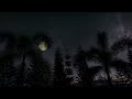 Soothing Summer Night Sounds | Therapy and Relaxation with Beautiful FOREST Sound at Night