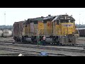 Locomotive Ops and car sorting at Denver North yard (7/7/24)