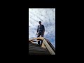 Shingle and plywood ladder hoist