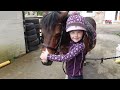 TACK UP AND RIDE WITH ME - ESME AND CHERRY TRY GRIDWORK - JUMPING VLOG