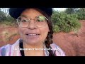 Making Juice with Nama Juicer/Hike in Sedona (Vlog 1)