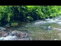 Meditation on the sound of tropical forest river water, soothing the heart and mind, For Relaxation