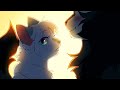 I Hope You're Falling Apart - WARRIORS MINI PMV