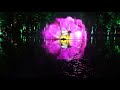 beautiful and amazing Water Light Show - Enchanted Forest - Pitlochry