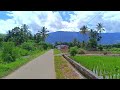 walking in a beautiful rice field village with a beautiful and natural feel