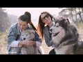 Dog Sleep Music for Dogs🐶Reduce anxiety Stress for pets🐶💖Relax my dog🎵Healingmate