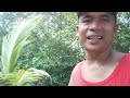 Vlog#95 walang na pala sa layo ng nilakad/ Ka Tripper #Paopao RED TAG Tv # Parokya ni Carlo