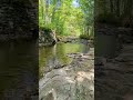 Konkapot River in the Goodnow Preserve, New Marlborough, Massachusetts