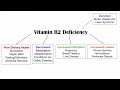 Vitamin B2 (Riboflavin) Deficiency Causes | Dietary, Gastrointestinal, & More