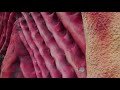 Alton Towers Vlog April 2018