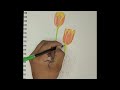 Drawing Tulip 🌷 Flower And Colouring Using Pencil Colours | Step by Step |